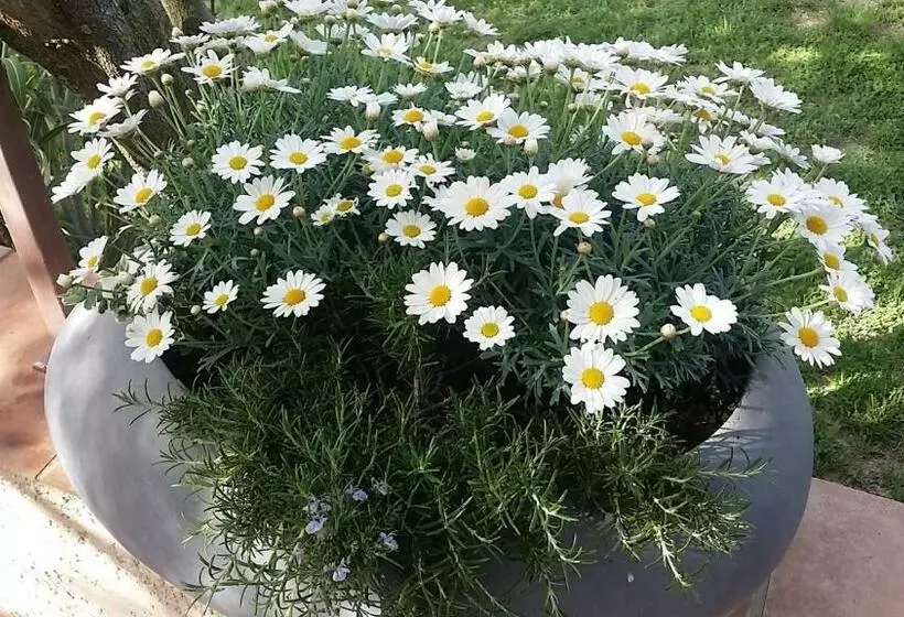 Majatalo La Parenthèse