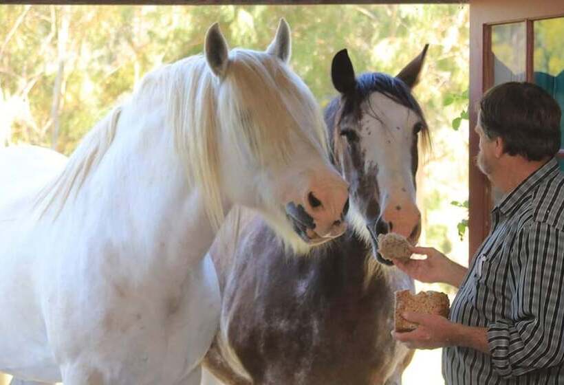 Hatchers Richmond Manor