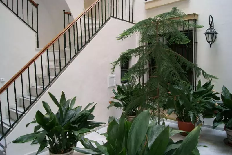 ホテル Apartamentos Casa Palacio Luna