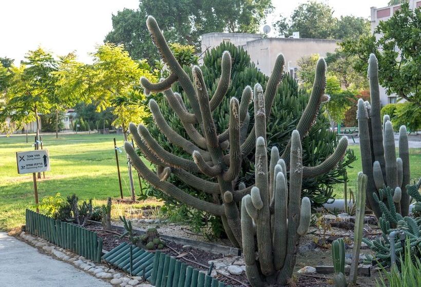 호텔 Degania Bet Kibbutz Country Lodging