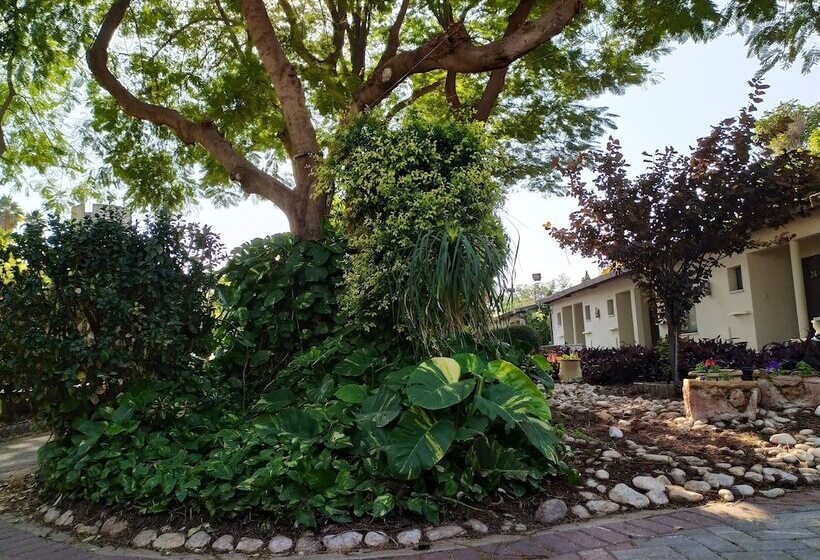 호텔 Degania Bet Kibbutz Country Lodging