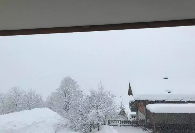 ベッドアンドブレックファースト Apartment Sonnblick