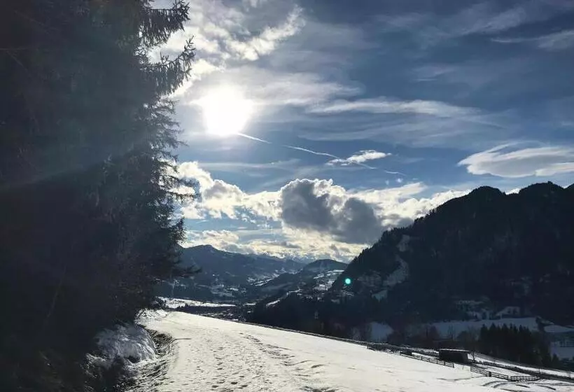 ベッドアンドブレックファースト Apartment Sonnblick