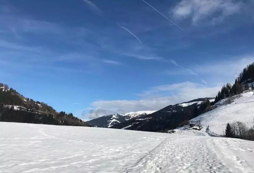 ベッドアンドブレックファースト Apartment Sonnblick