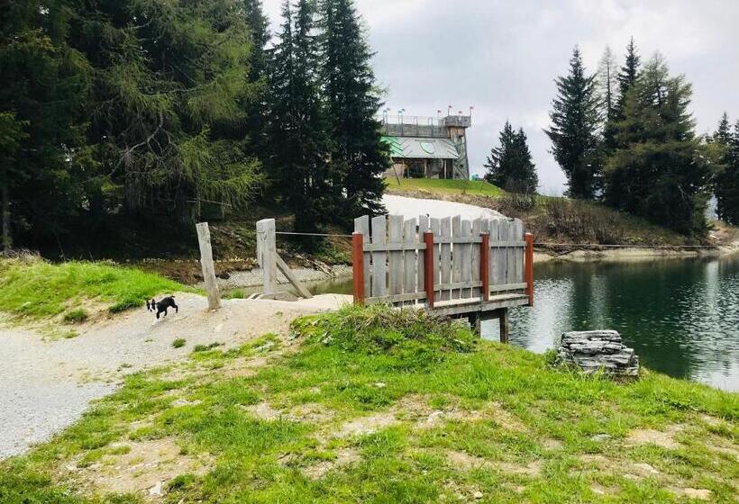 مبيت وإفطار Apartment Sonnblick