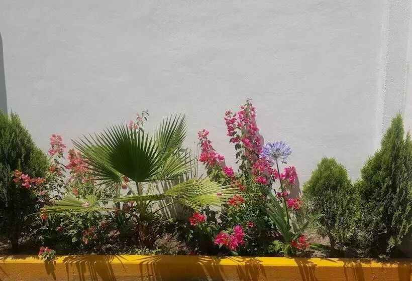 هتل Mirante Tlaxcala