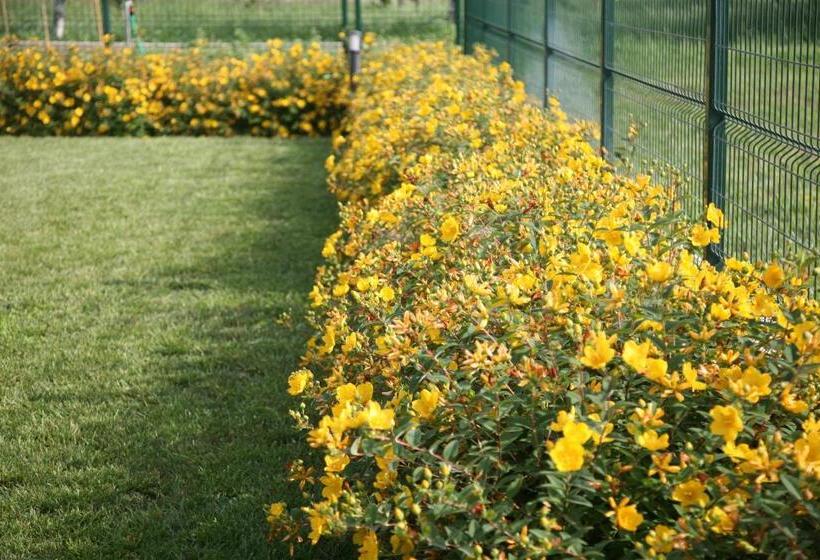 ペンション Ca Vittori