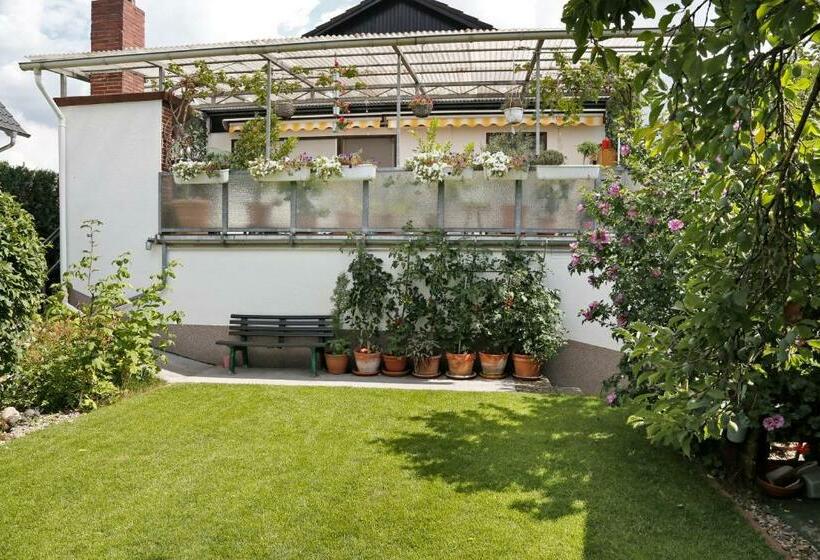 Пансион Gästehaus Schäfer