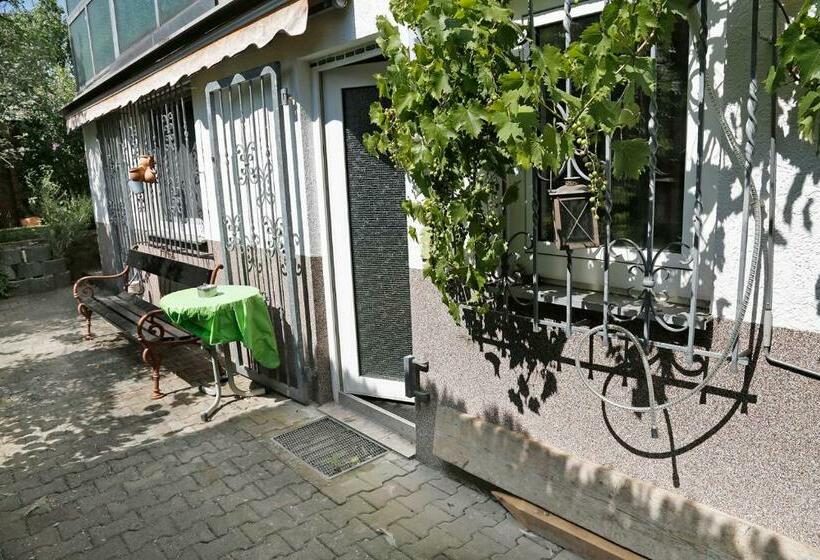 Пансион Gästehaus Schäfer