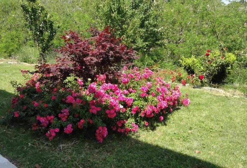 تختخواب و صبحانه Chambre élégante Lisa
