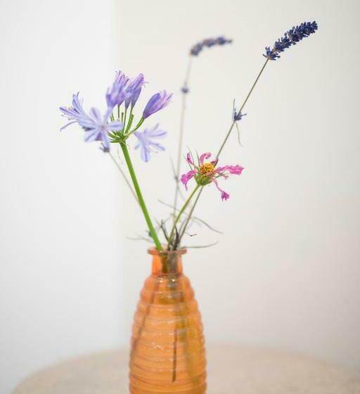 住宿加早餐  Het Ockhuis