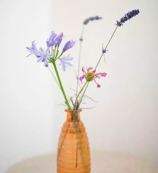 Aamiaismajoitus (B&B) Het Ockhuis