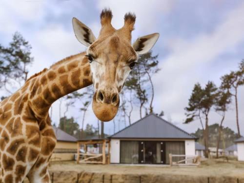 住宿加早餐  Het Ockhuis