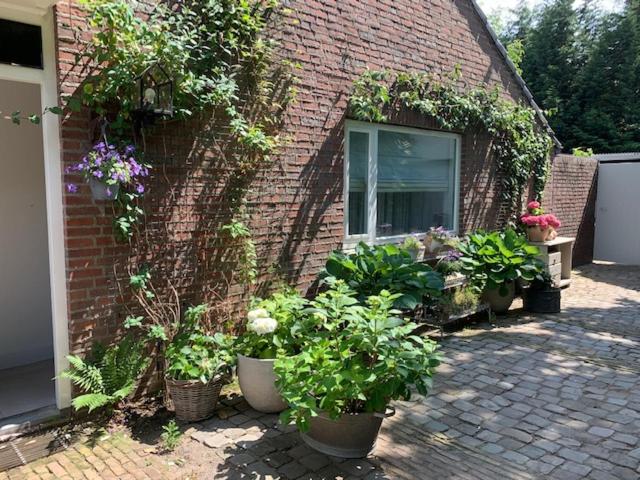 住宿加早餐  Het Ockhuis