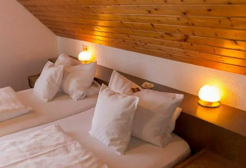 Pension Panoramablick