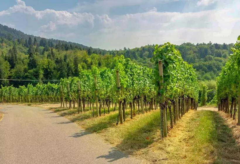 Pension Panoramablick