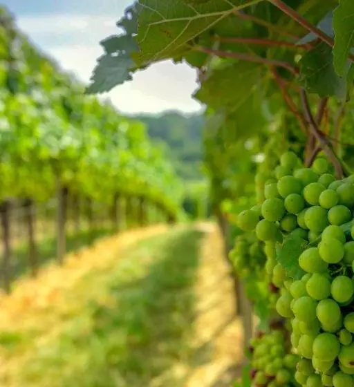 Pension Panoramablick