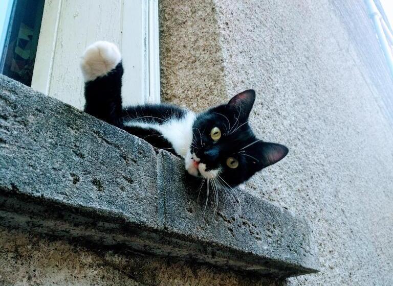 مبيت وإفطار Domaine De La Clef Des Champs