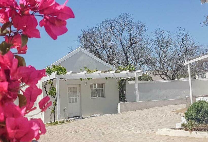 مبيت وإفطار Herberg Manor