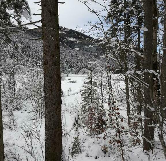 Bed and Breakfast Landhaus Brigitte