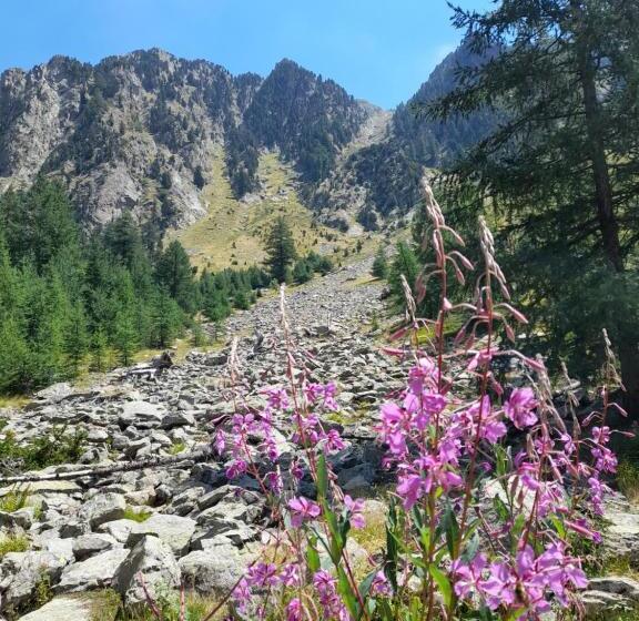 تختخواب و صبحانه Stella Alpina