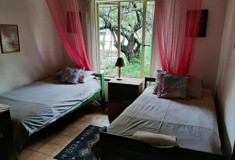 Pensió Elephant Walk Guesthouse And Back Packers