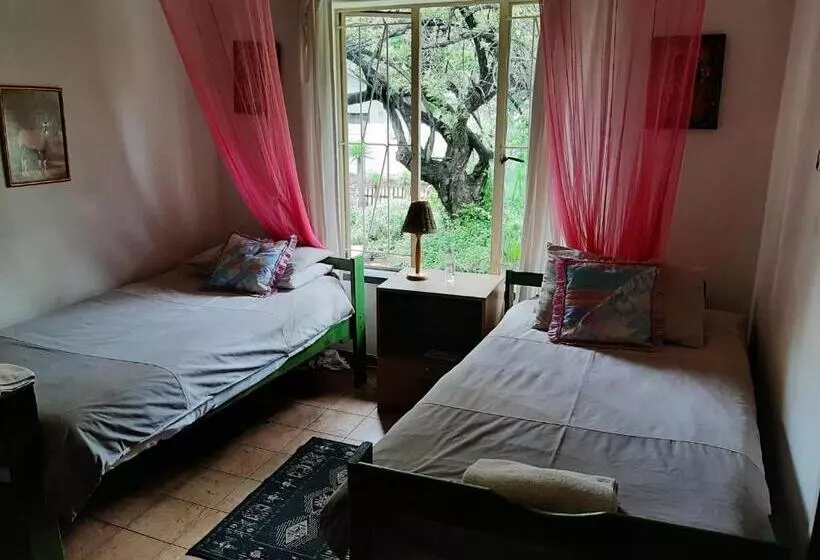 ペンション Elephant Walk Guesthouse And Back Packers