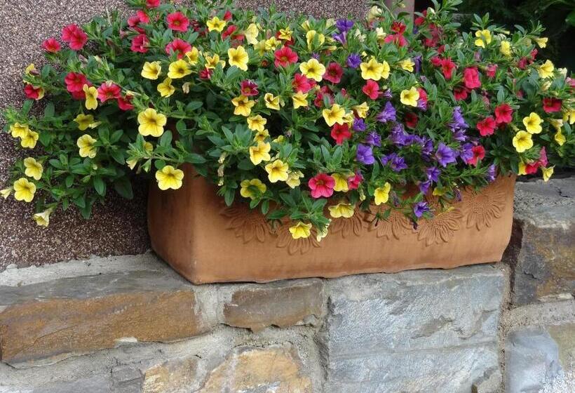 פנסיון Haus Weingarten Appartements Zimmer