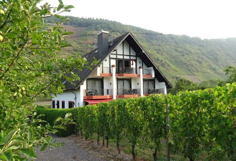 פנסיון Haus Weingarten Appartements Zimmer