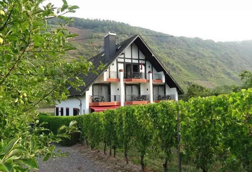 ペンション Haus Weingarten Appartements Zimmer