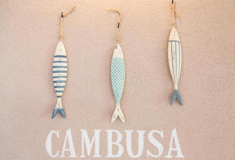 بنسيون Il Battello