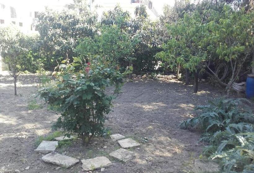 פנסיון House La Palma