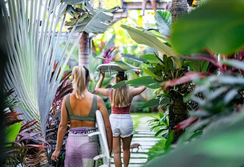 ペンション Seaside Tribe   Boutique Surf Stay & Retreat