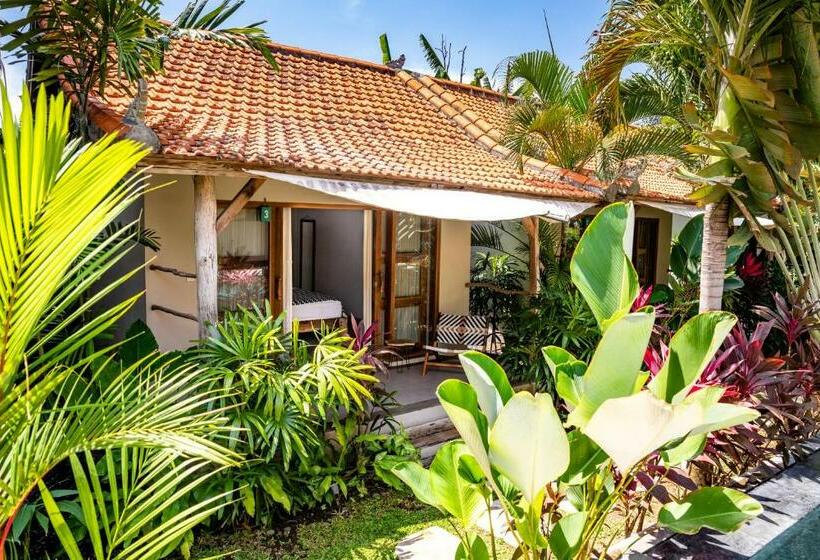 ペンション Seaside Tribe   Boutique Surf Stay & Retreat