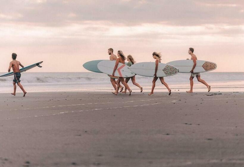 ペンション Seaside Tribe   Boutique Surf Stay & Retreat