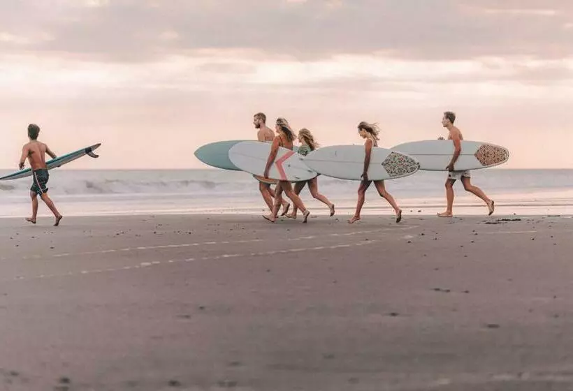 ペンション Seaside Tribe   Boutique Surf Stay & Retreat