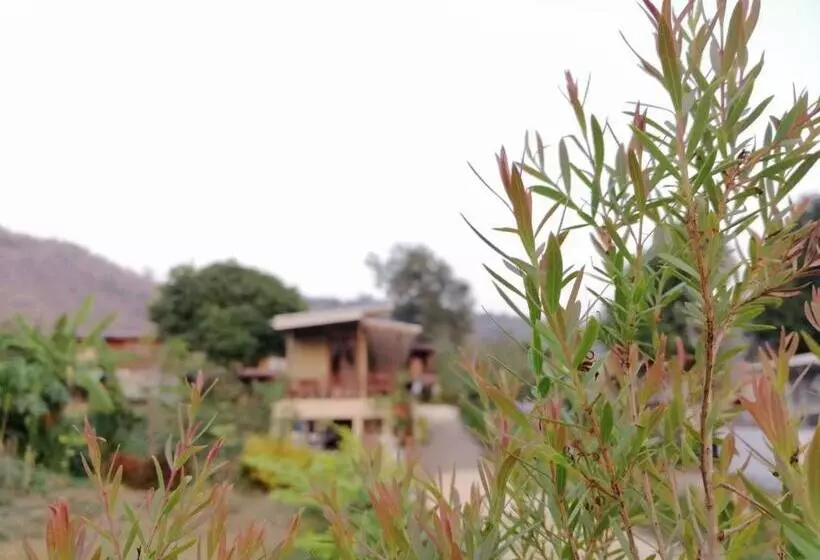 Retkeilymaja Wang Jai Kwang Space Inn