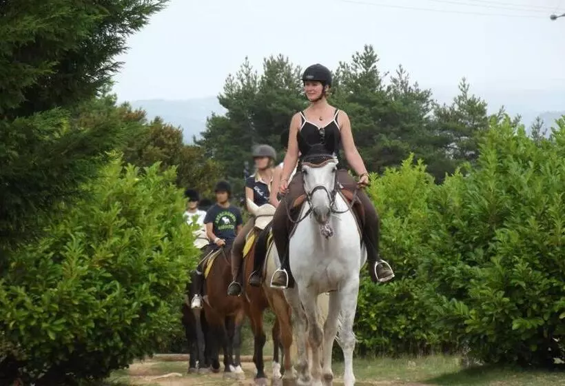 Aamiaismajoitus (B&B) Chambres D Hôtes Du Port Aux Cerises