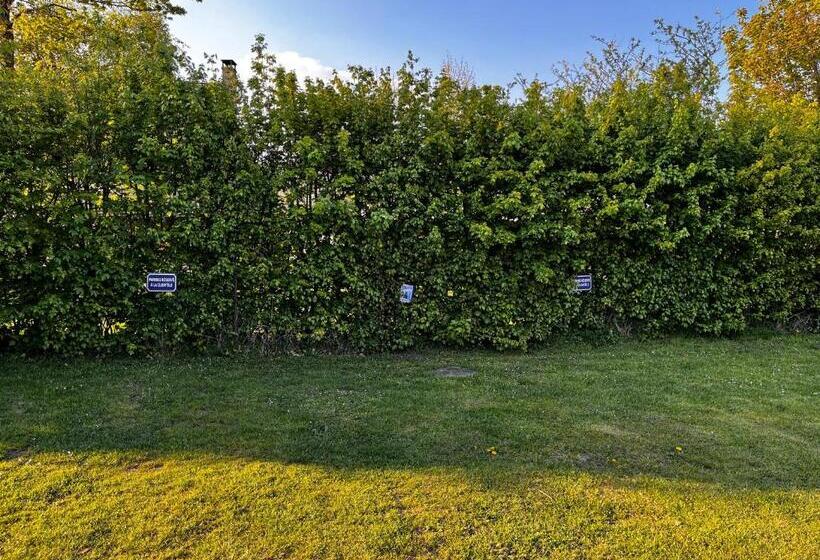 ベッドアンドブレックファースト La Romance Et La Romanesque