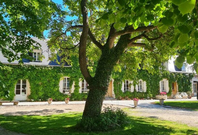 ベッドアンドブレックファースト La Tilia