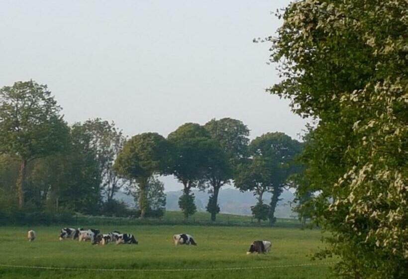 ベッドアンドブレックファースト La Tilia