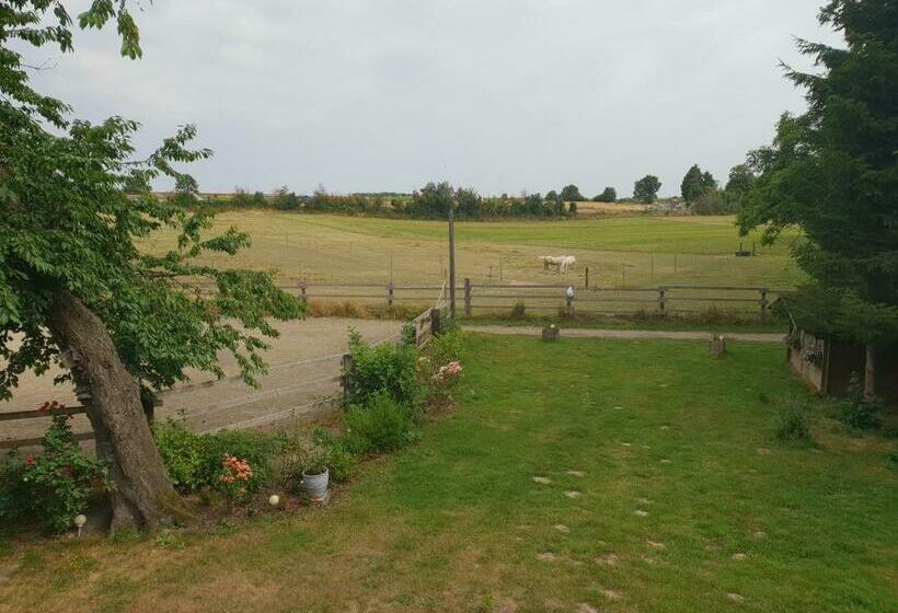 ベッドアンドブレックファースト La Tilia