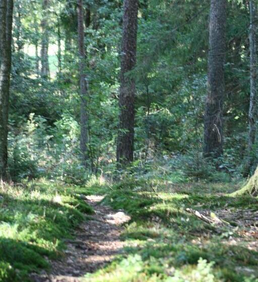 هتل Borängs Gård