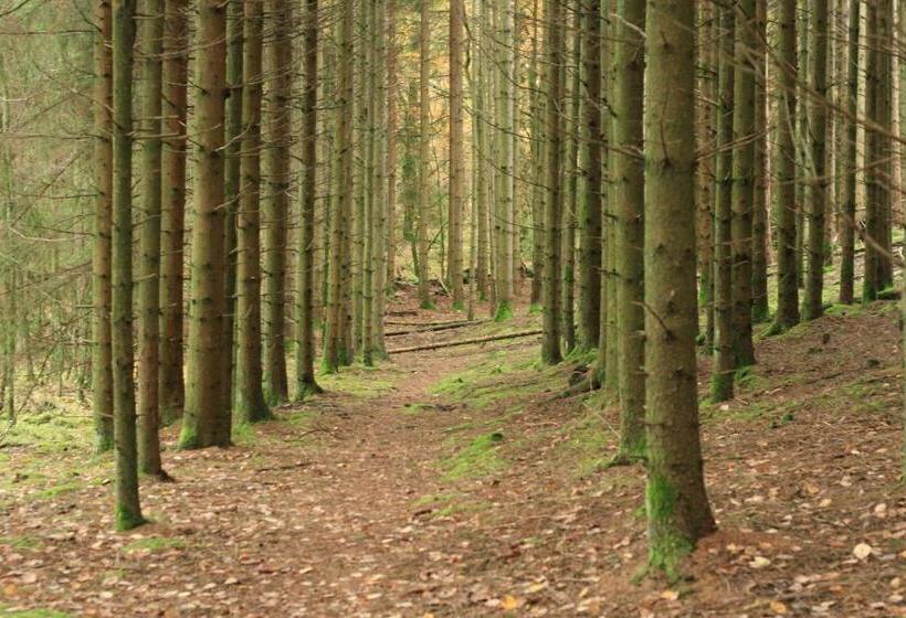 هتل Borängs Gård