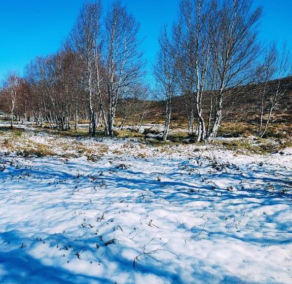 Отель Casa Dos Côtos