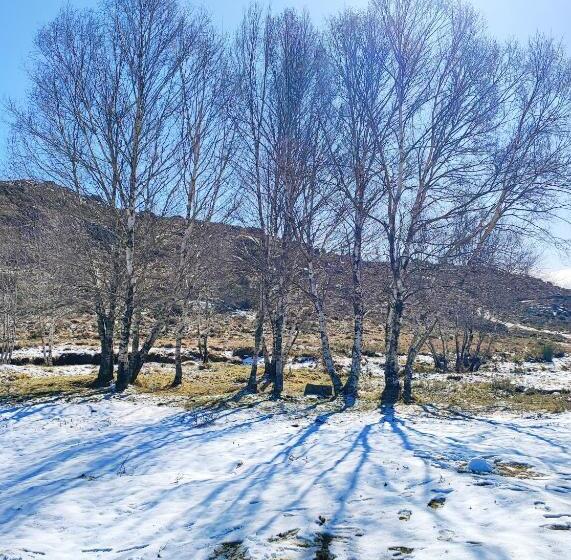 Отель Casa Dos Côtos