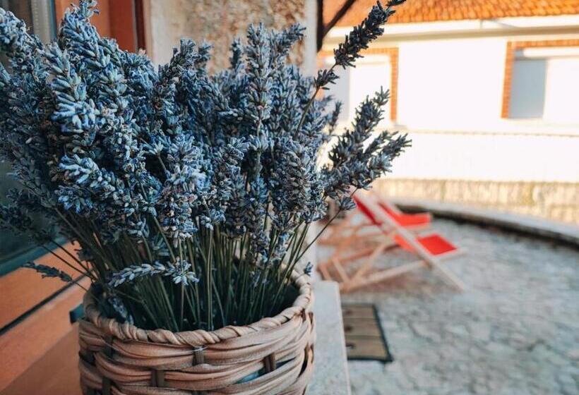 Отель Casa Dos Côtos