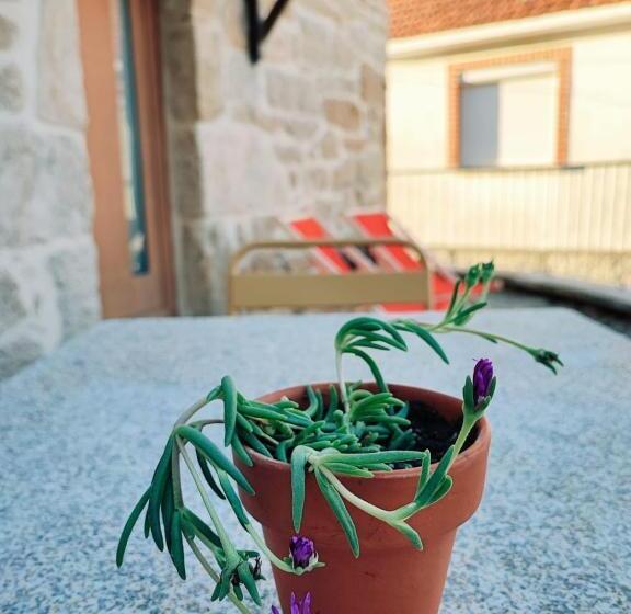 Отель Casa Dos Côtos