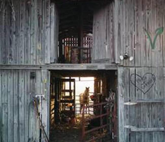 فندق Kokomo Farms