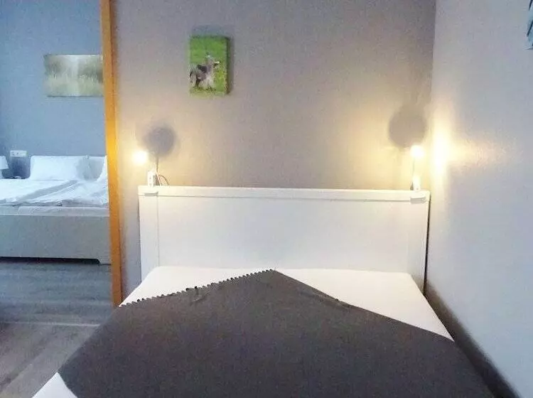 Hotelli Villa Fröhlich